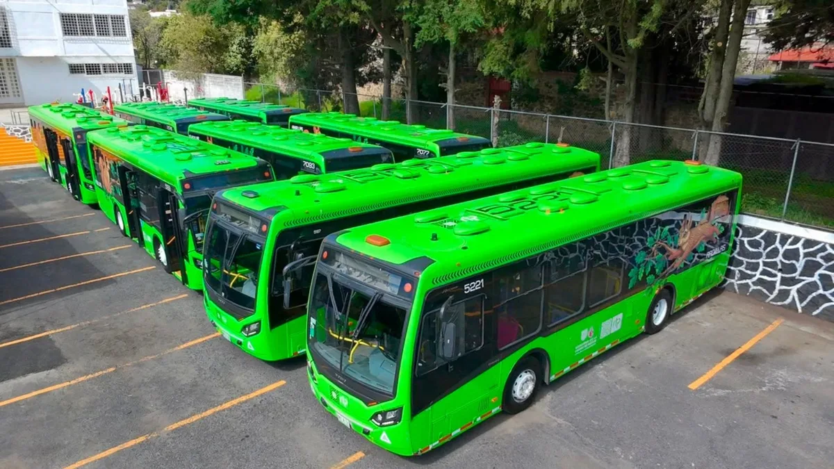 Así operará la nueva ruta RTP de Xochimilco a Milpa Alta en el recorrido “Las Ardillas”
