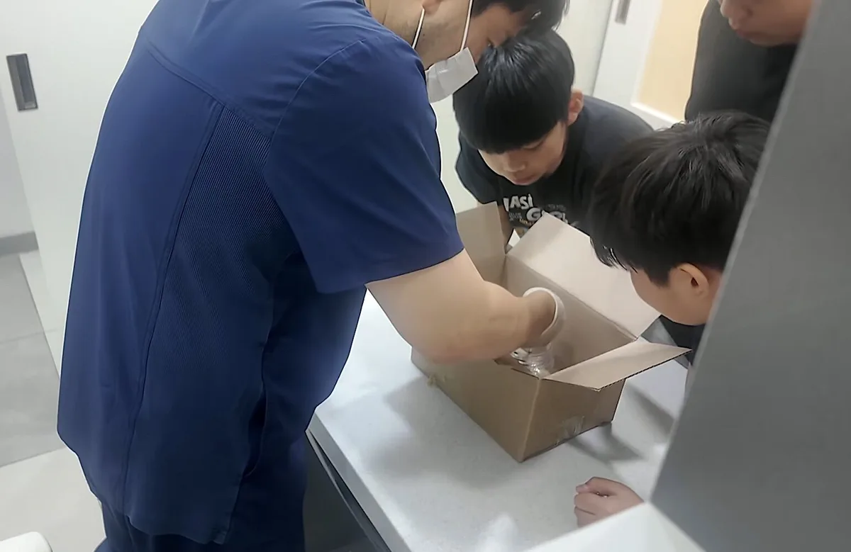 Três crianças juntaram 15 euros para salvar um rato. O veterinário surpreendeu-os
