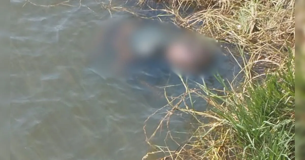 Segundo corpo é encontrado no Lago Saracura em Faxinal em menos de uma semana