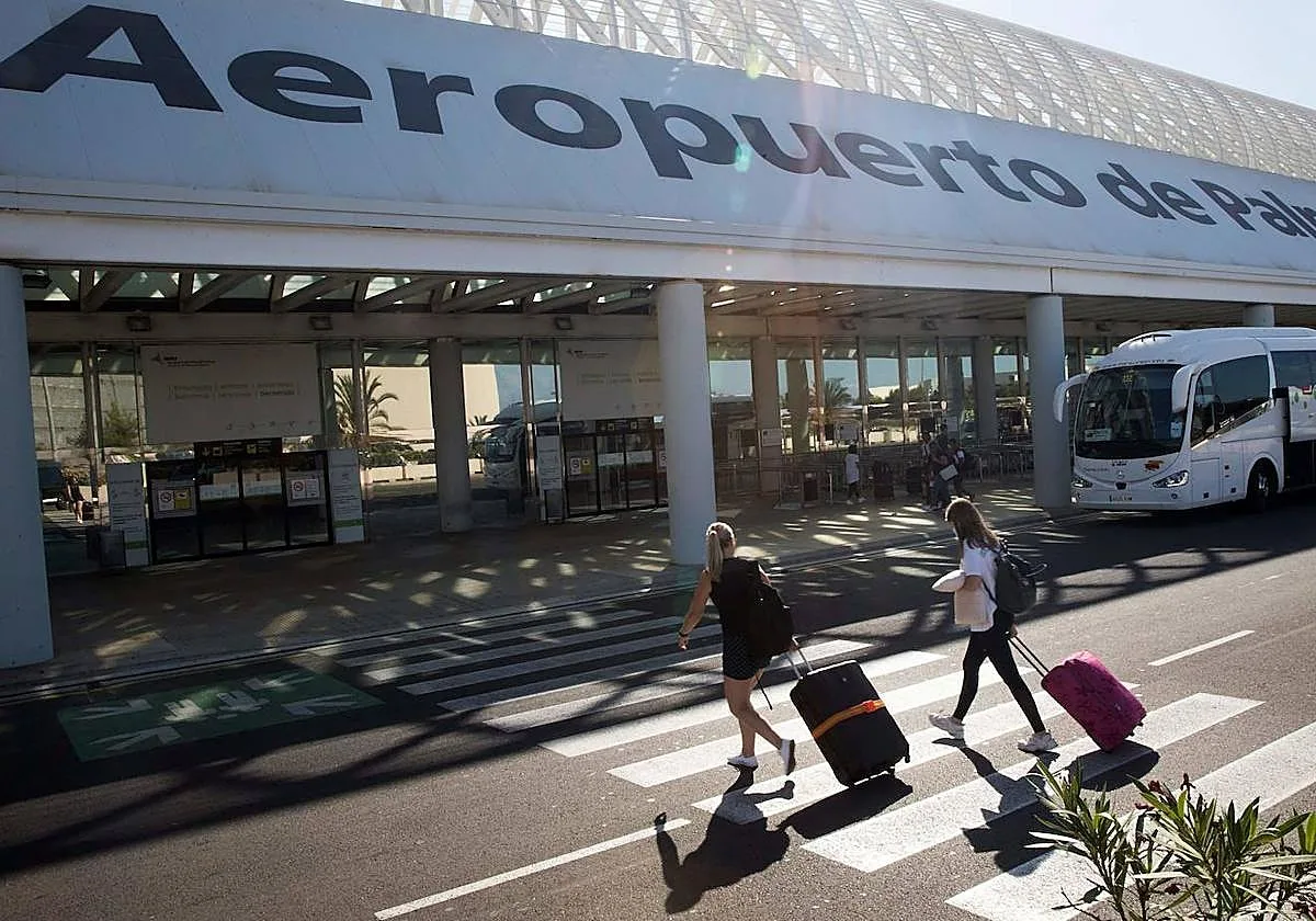 Detenido en el aeropuerto de Palma tras intervenirle dos maletas con 25 kilos de marihuana