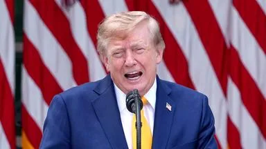 Handel mit Kanada: Trumps Aussagen im Check