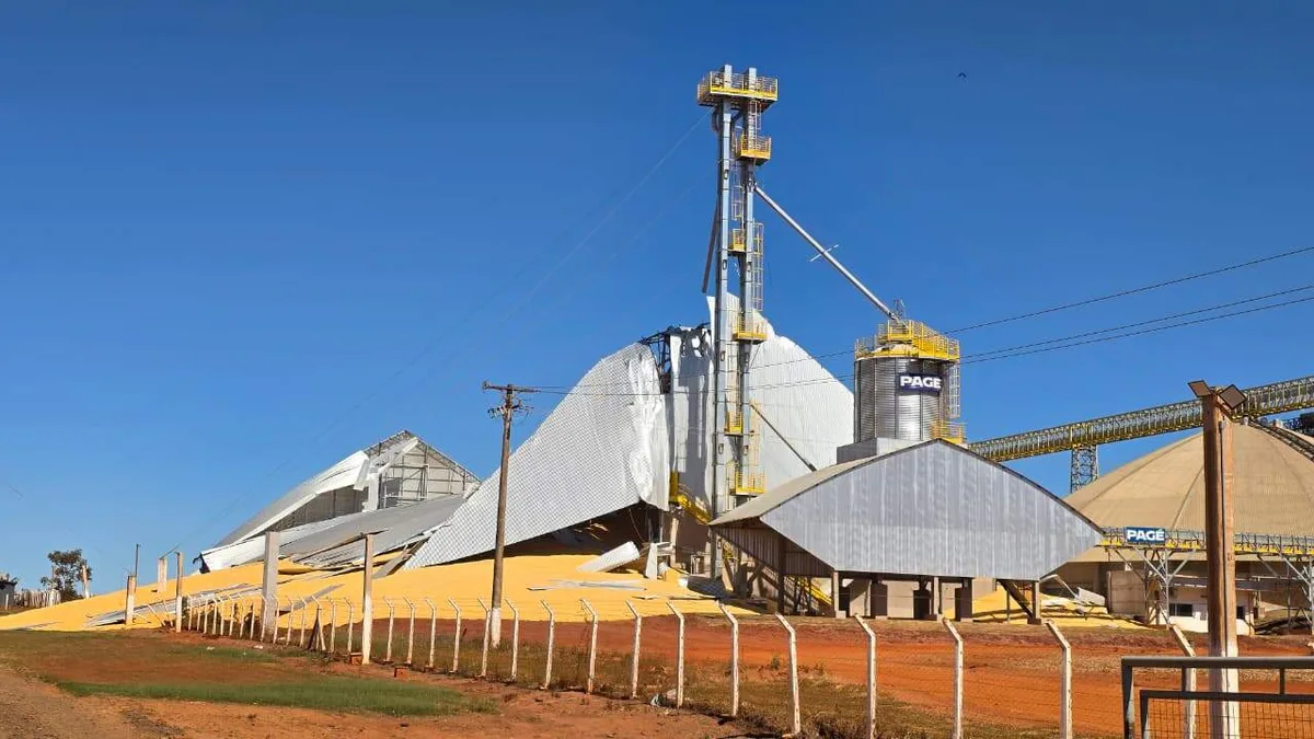Armazém que desabou estava 80% cheio e caso expõe falta de silos em São Gabriel