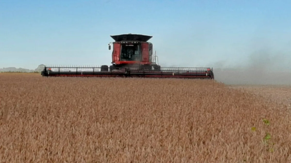 Los márgenes del agro mejoraron en julio, pero persisten las fuertes brechas entre zonas y una elevada presión fiscal