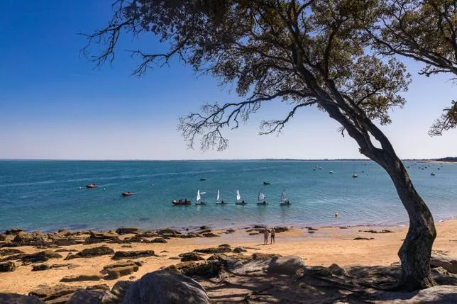 Sur la côte atlantique, l’île de Noirmoutier “danse au rythme des marées”