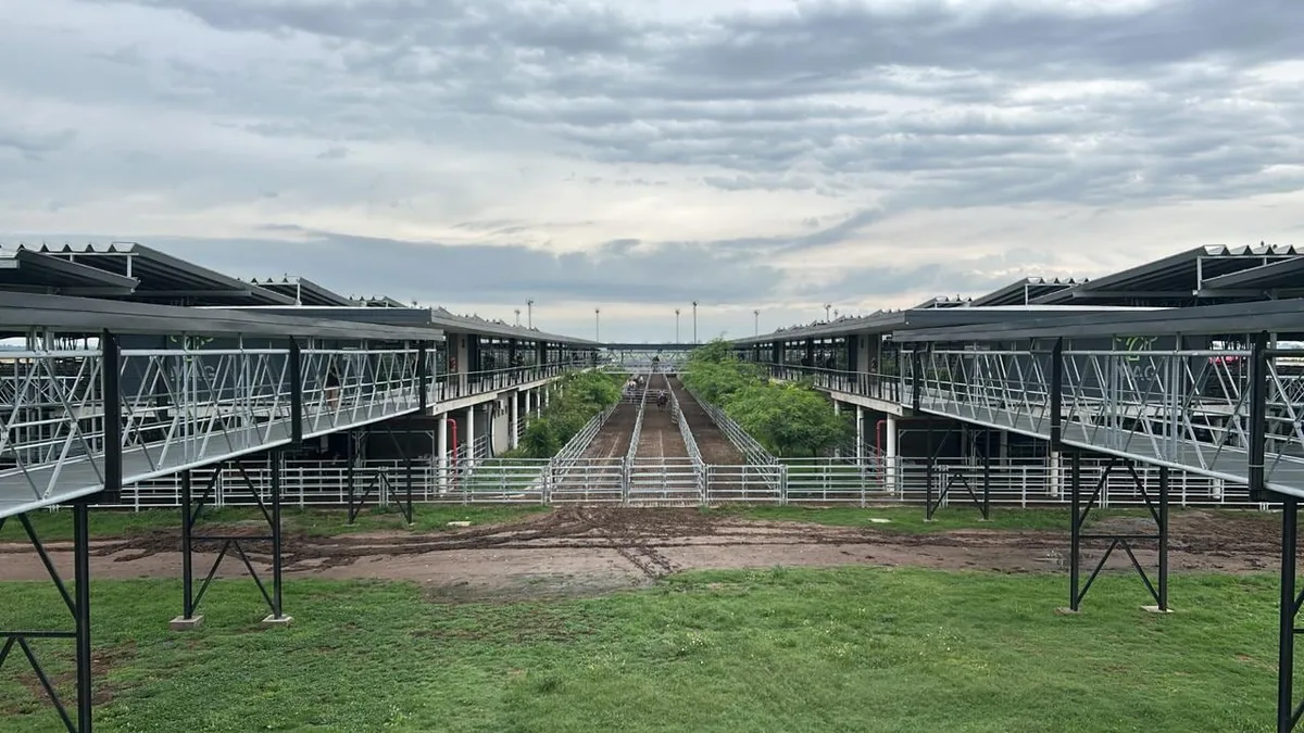 Vacunos: cierre de semana con altibajos en el Mercado Agroganadero de Cañuelas