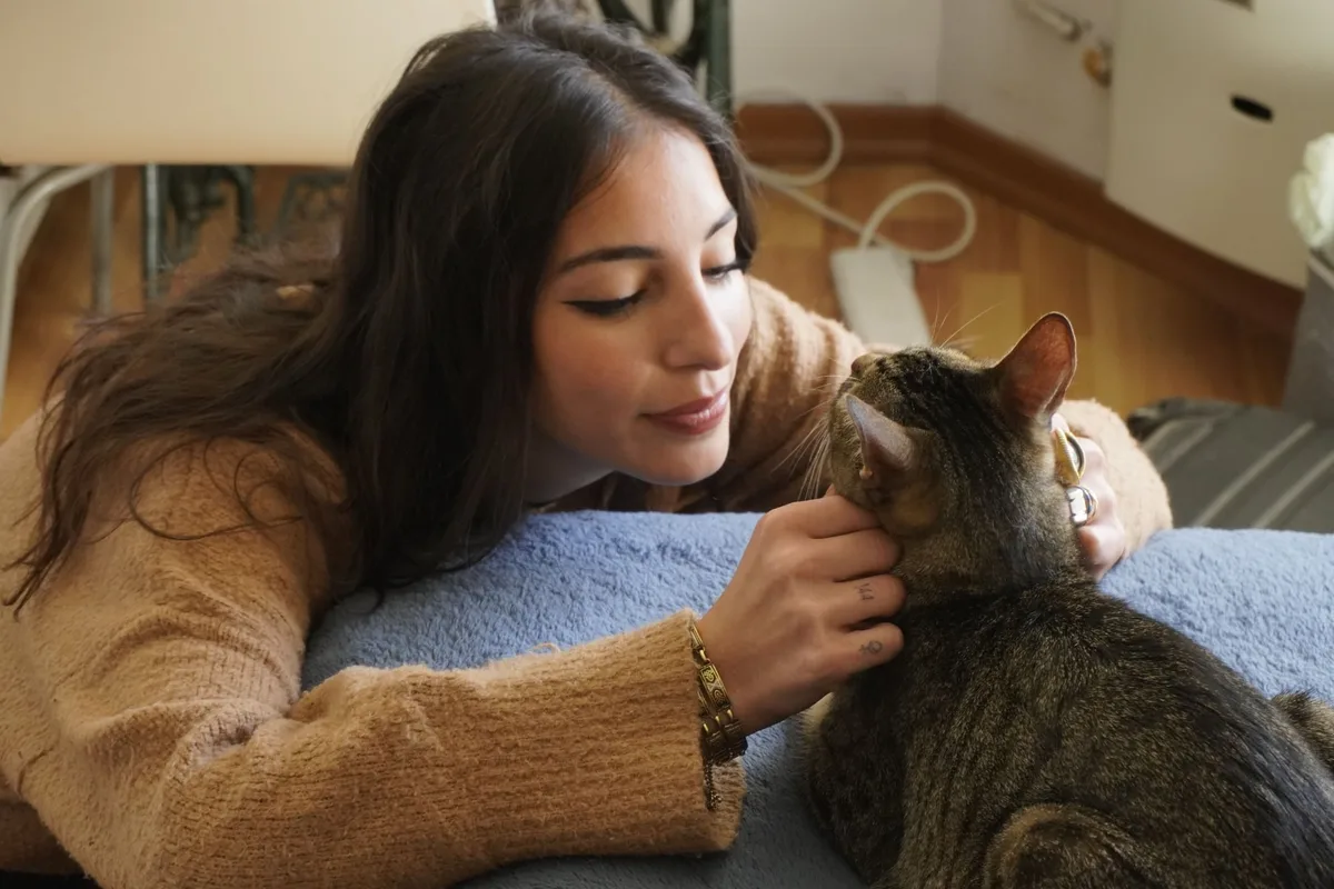 Cómo eligen los gatos a su persona favorita y cuál es la razón detrás