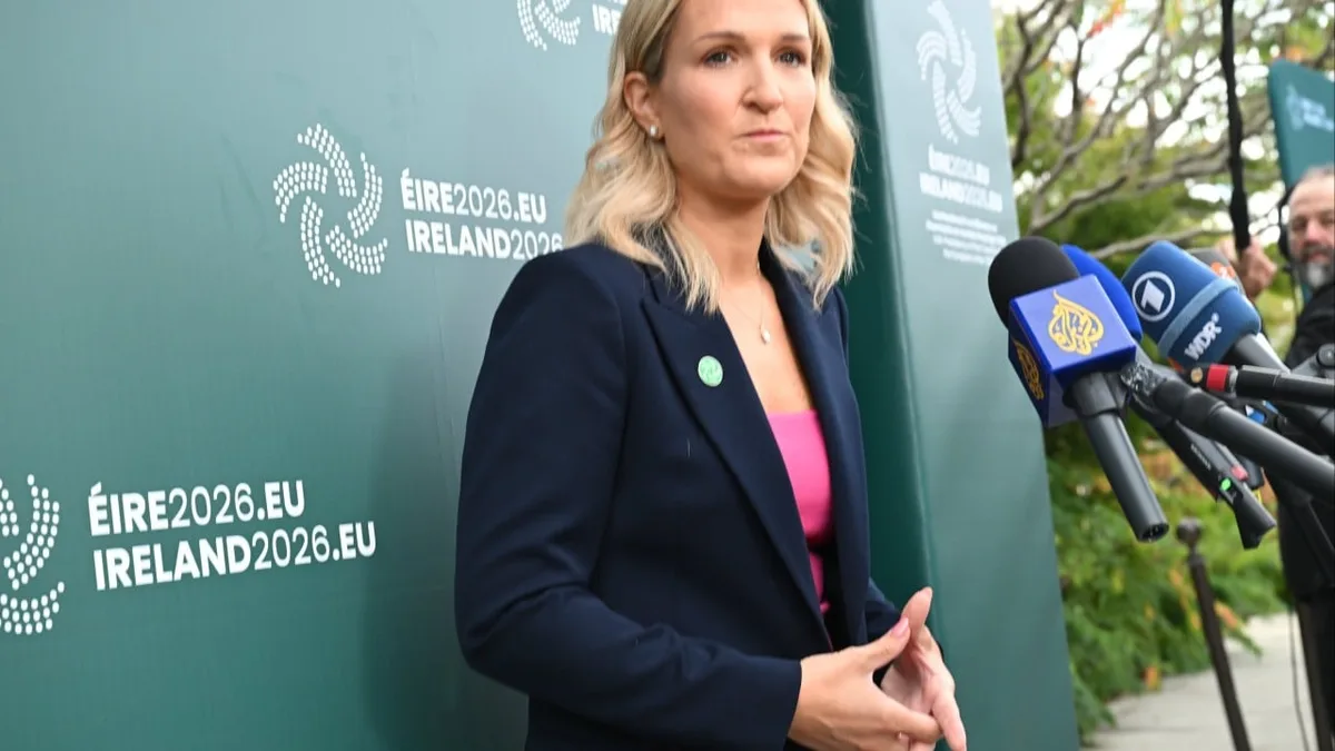 Ireland must prepare for Northern Ireland reunification vote, foreign minister says