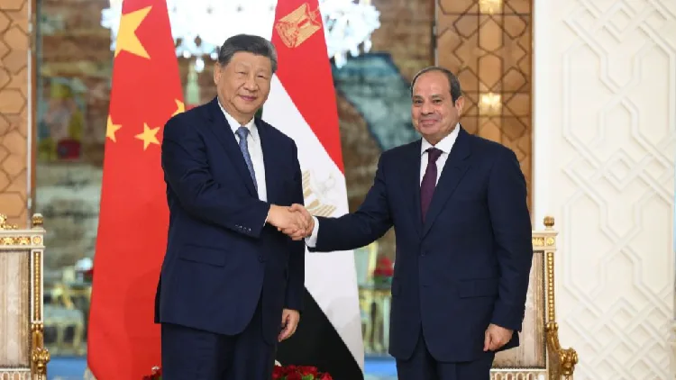 From desert to opportunity: China-Egypt ties deepen across sectors