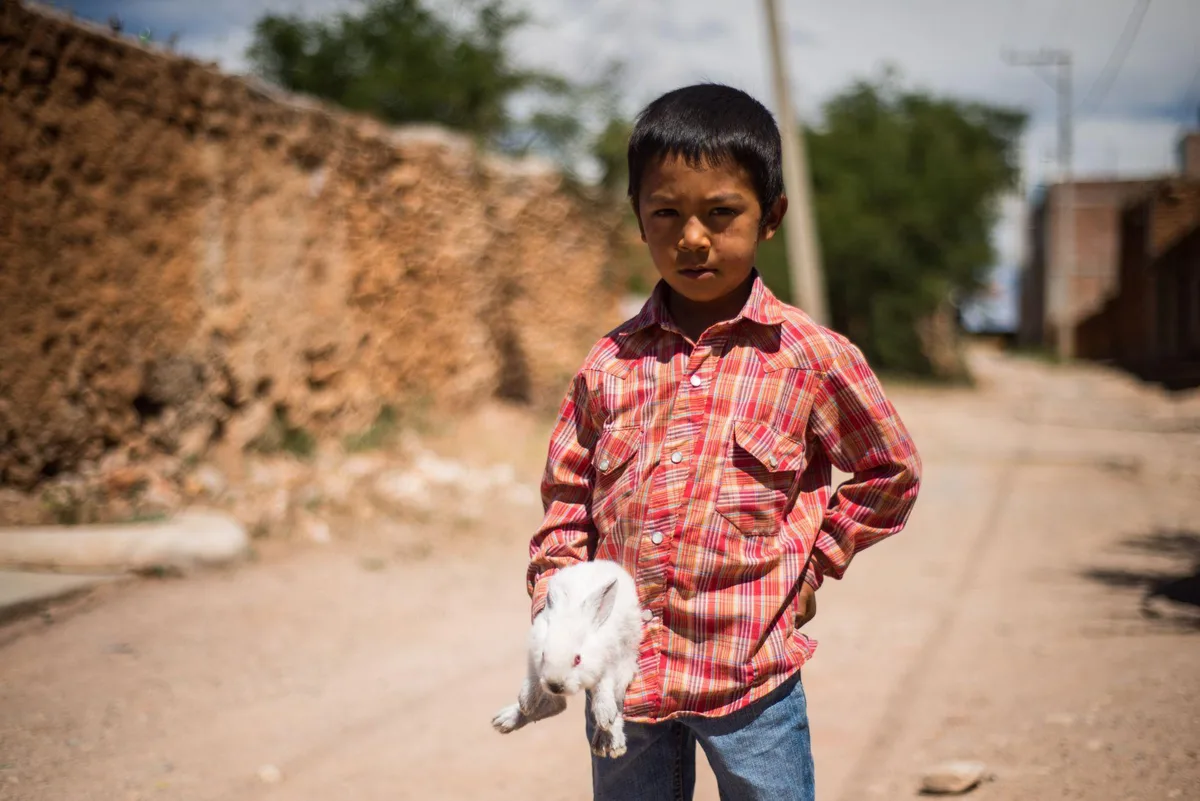 Pobreza infantil en México cae a 38.7%, pero la violencia contra menores se duplica, revela la UNICEF