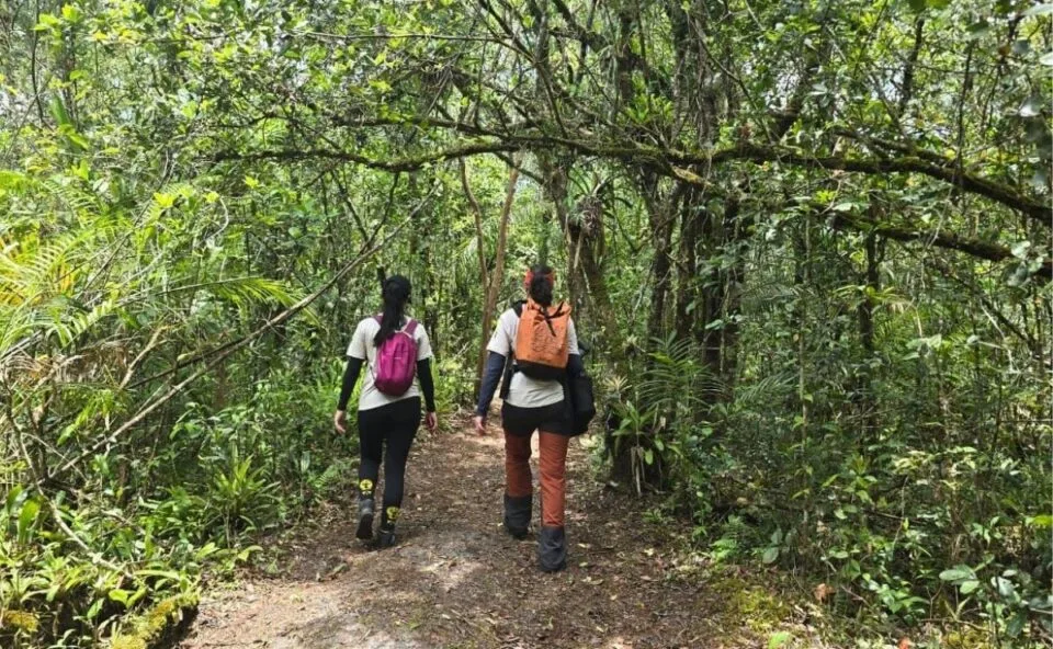 Um passo na natureza! Parque Nacional do Iguaçu vai sediar o 1º Congresso Pan-Americano de Trilhas