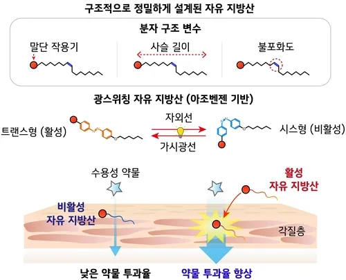 포스텍-KAIST, '바르는 약' 전달 원리 찾았다