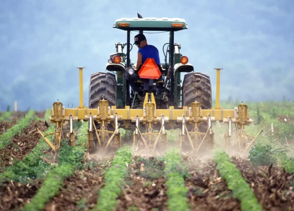 A agricultura na era da conetividade: cinco tecnologias que estão a transformar o campo