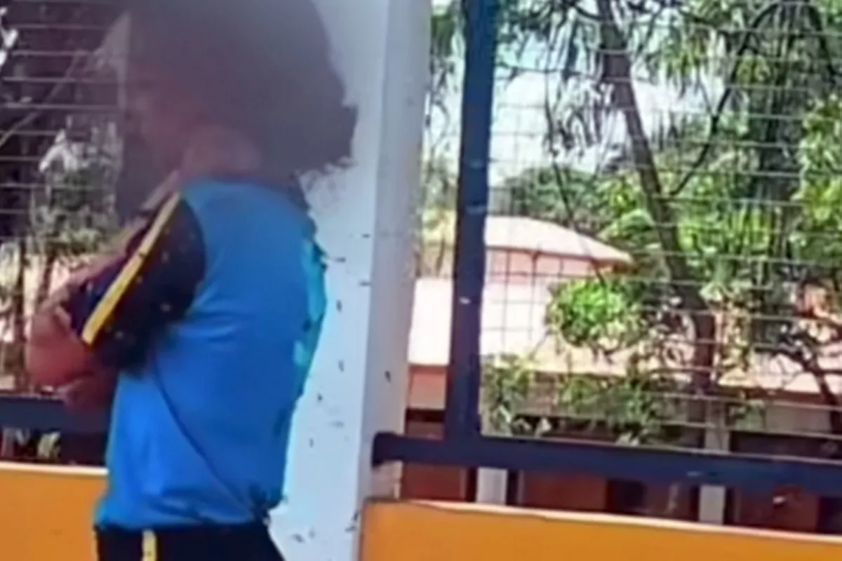 Menina atacada por abelhas em MG está estável, mas sem previsão de alta
