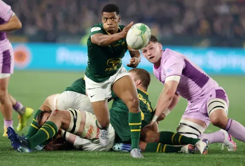 Why Rassie Erasmus picked Springboks' Grant Williams at scrumhalf for All Blacks showdown