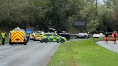 Two dead after car hits group of pedestrians