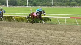 Entrenador busca su primera victoria con un debutante con esta hija de King Seraf