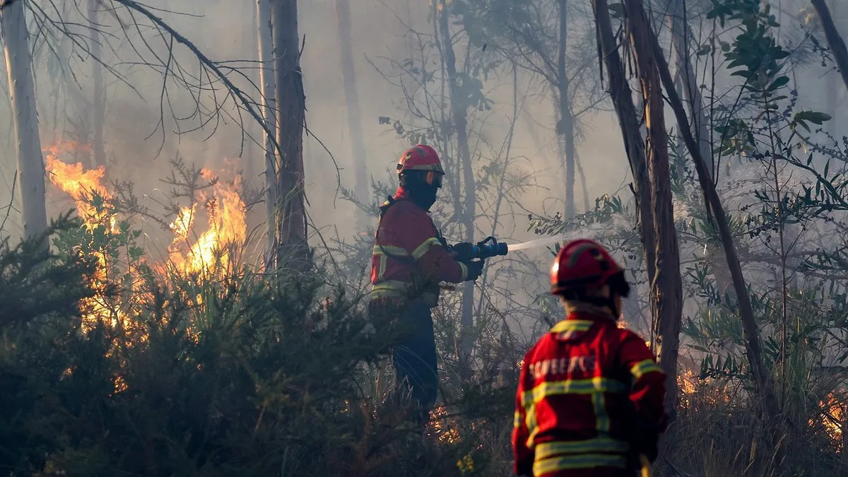 Santo Tirso. EN105 cortada e Vale do Pisão evacuado