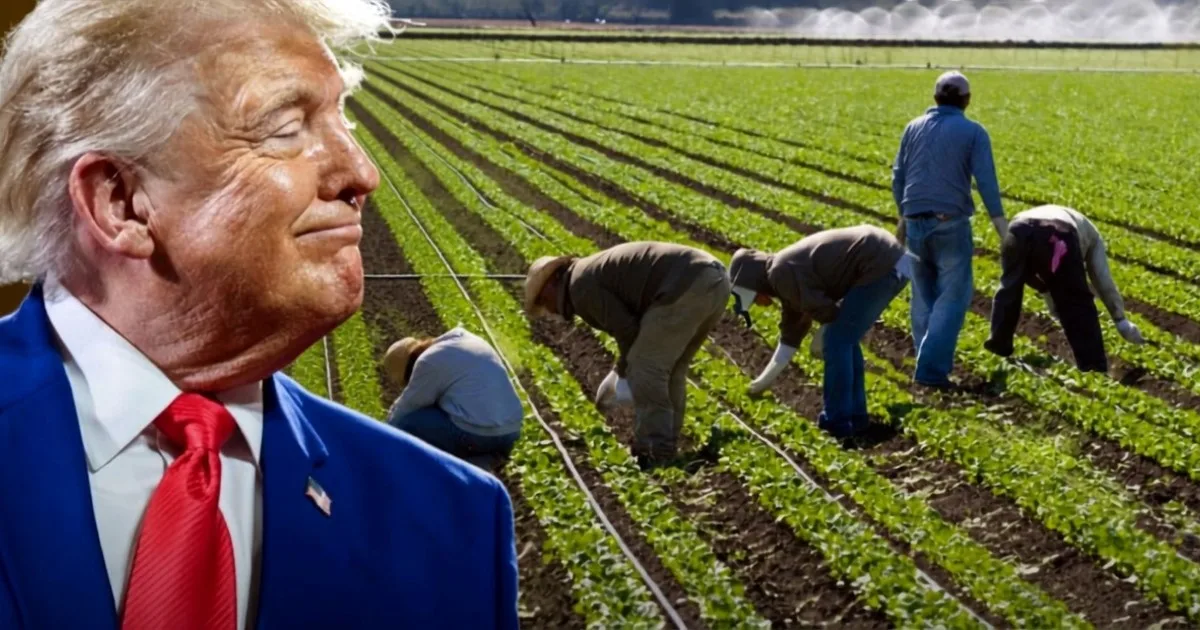 Oficial y confirmado | La Justicia frena una orden de Trump que buscaba reducir el sueldo mínimo a más de 350.000 trabajadores temporales con visa
