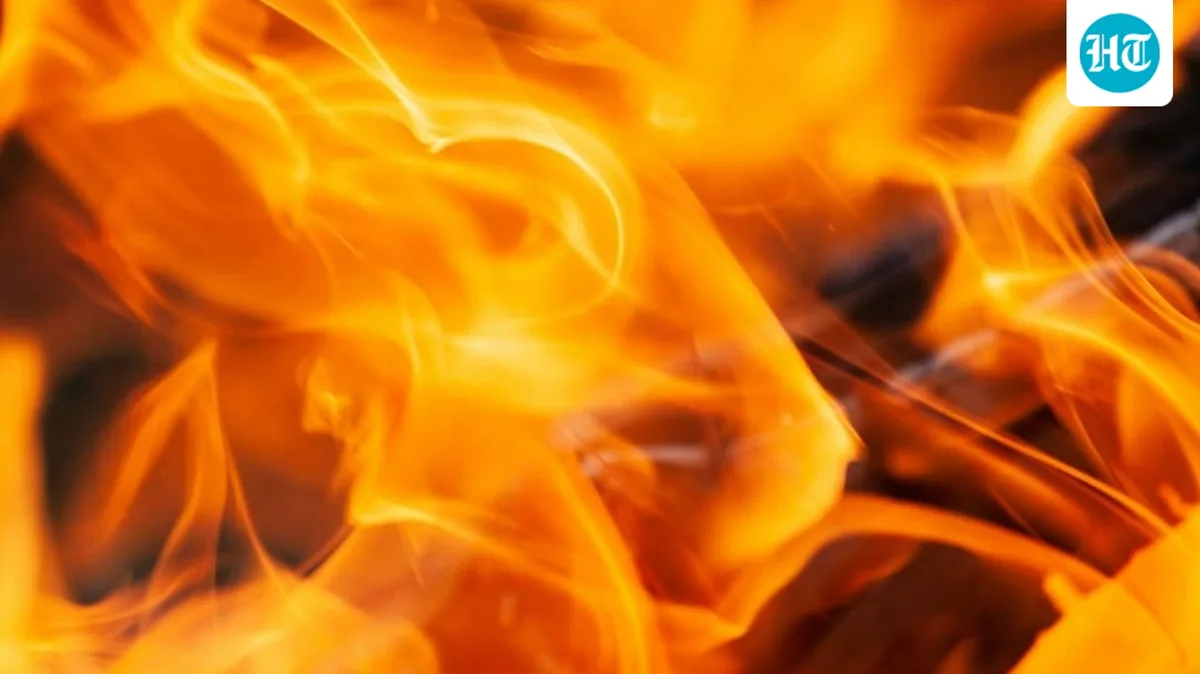 Grass Valley Clover Fire: Evacuation map, updates as blaze burns in Nevada County near Alta Sierra
