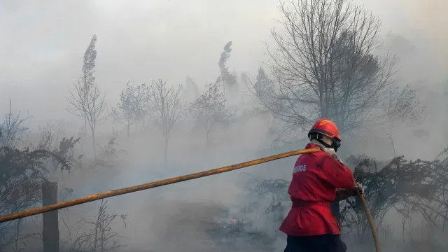 Quatro bombeiros de Vinhais que sofreram queimaduras tiveram alta