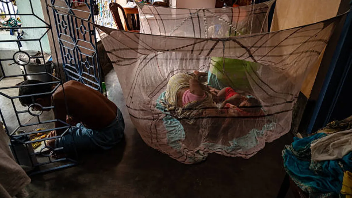 Bill Gates-backed malaria nets helped fight disease, but are harming African waters