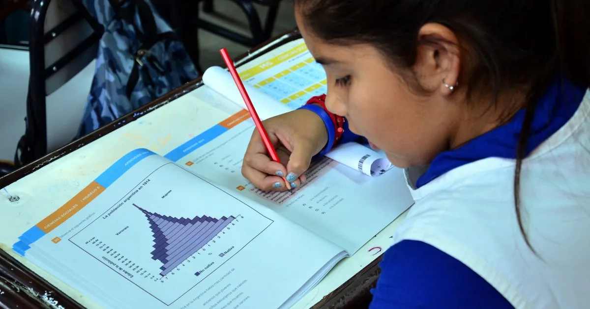 Matemática: ya sabemos cómo estamos, ¿y ahora cómo seguimos?