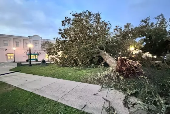 La tormenta Isaías dejó al menos cuatro muertos en Alabama y Florida