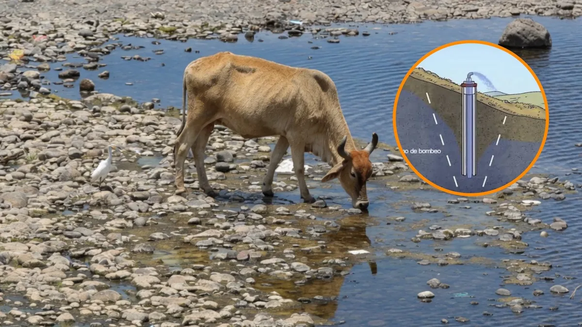 Honduras acelera perforación de pozos por la sequía: ¿por qué encontrar agua bajo tierra no es tan sencillo?
