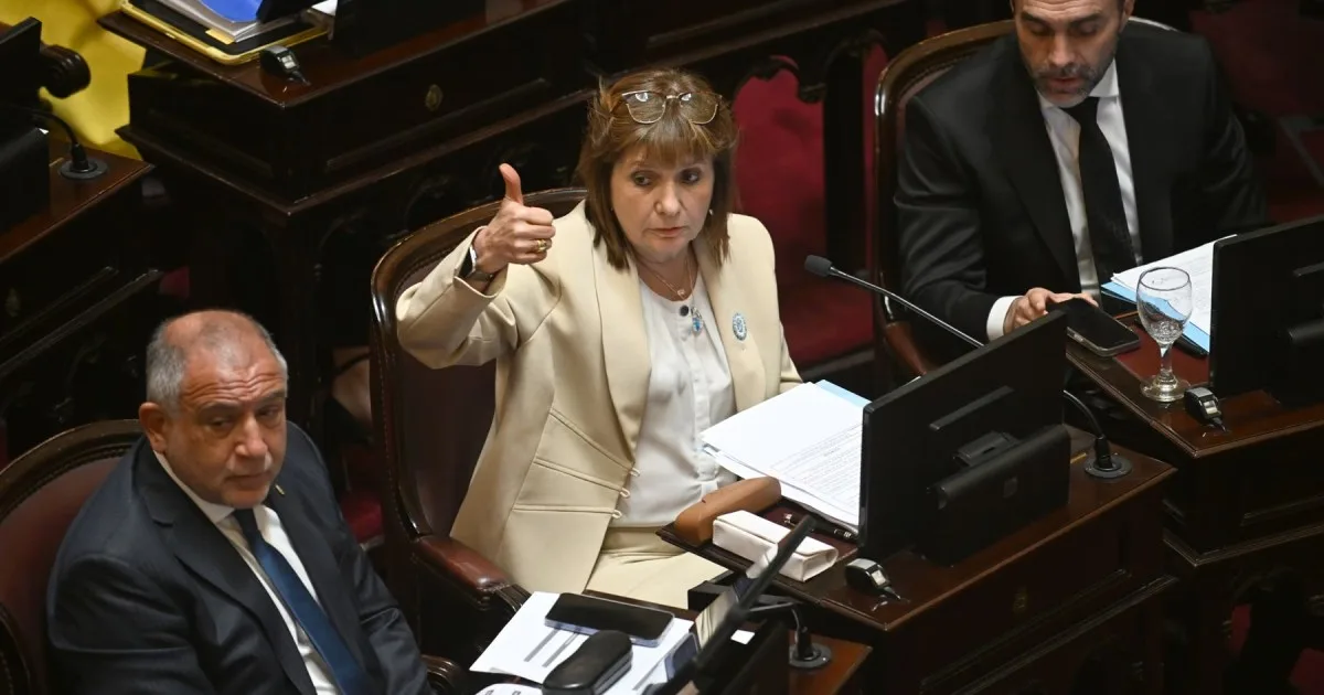 Reforma política: el Gobierno suma Ficha Limpia y PASO optativas en el Senado para buscar votos clave