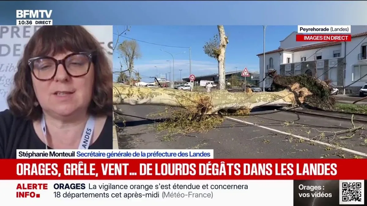 Violents orages dans les Landes: "4.000 personnes" ont pu retrouver l'électricité, assure Stéphanie Monteuil, secrétaire générale de la préfecture des Landes