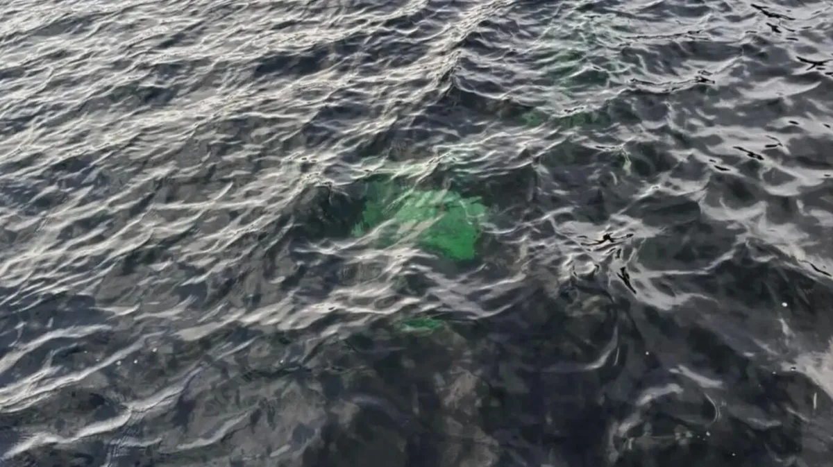 Encontraron una camioneta hundida en un lago de Chubut: investigan cómo llegó hasta ahí