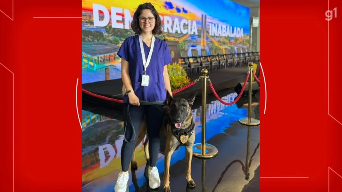 Pastor-belga que atacou veterinária no Senado é retirado das atividades e passará por exames