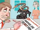 Can Perfect Pet insurance refuse to pay a claim after our dog was bitten by an adder at the vets? SALLY SORTS IT