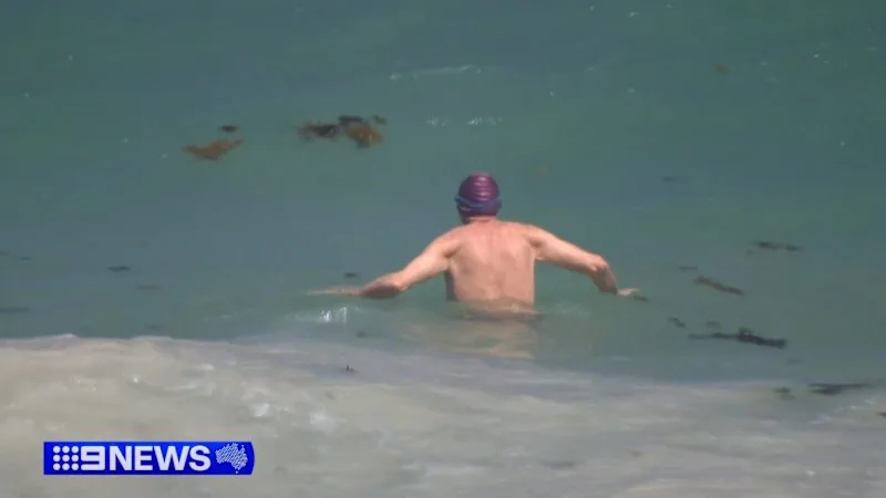 Perth shark attack beach reopens