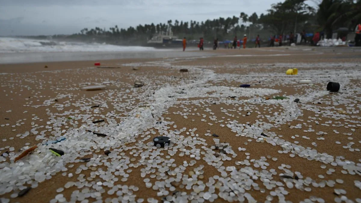 Study on Keralam ELSA-3 shipwreck shows persistent nurdle pollution, evolving ecological impacts