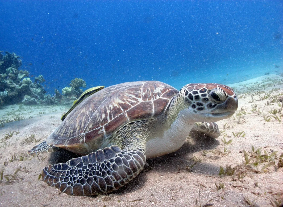 'Lei do Mar' vai a Plenário no Senado após aprovação em comissão