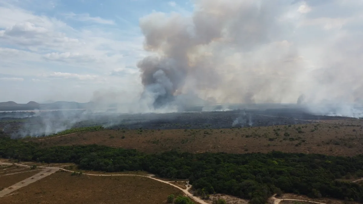 Incêndio atinge área de lavrado em Boa Vista