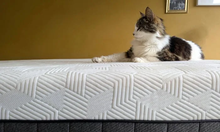The best mattresses in the UK: sleep better with our 18 rigorously tested picks