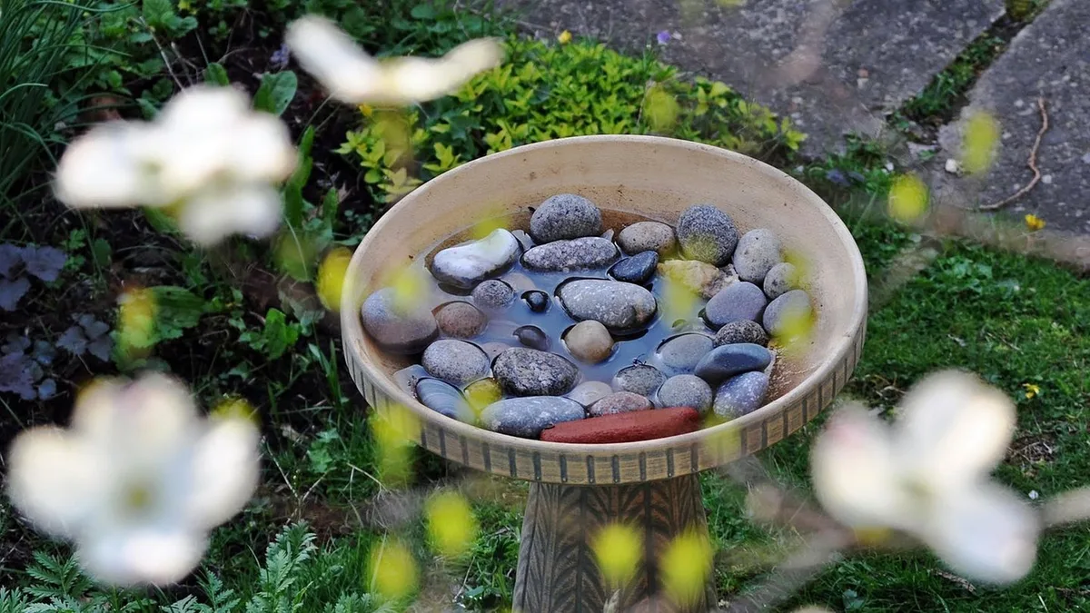 Wasserspender: Insektentränke: So unterstützen Sie Schmetterlinge, Bienen, Hummeln und Co.