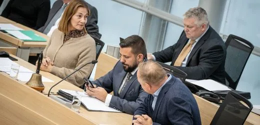 Landtag von Sachsen-Anhalt: Der AfD-Parlamentspräsident daddelt auf seinem Handy