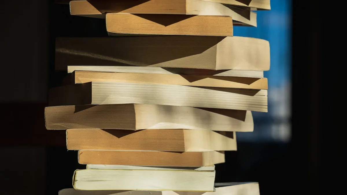 Used bookstores navigate 'suspicious' bulk orders amid AI book-shredding fears