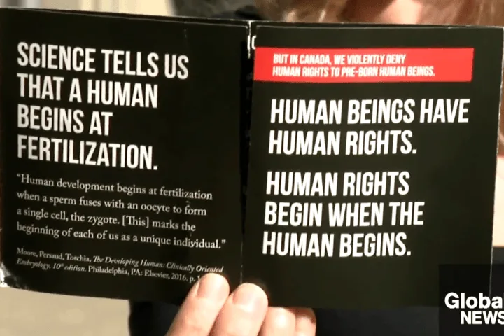 Saskatoon councillor pushes for rules on graphic anti-abortion flyers