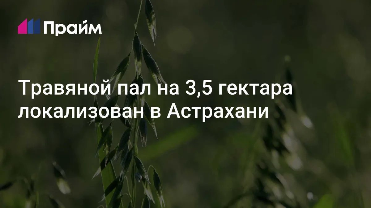 Пожар на 3,5 гектара локализован в Астрахани