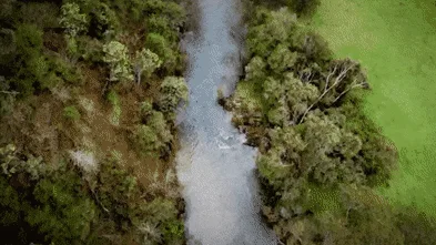 ‘Still Kelly country’: Life in Porepunkah after Dezi Freeman, as locals pick up the pieces