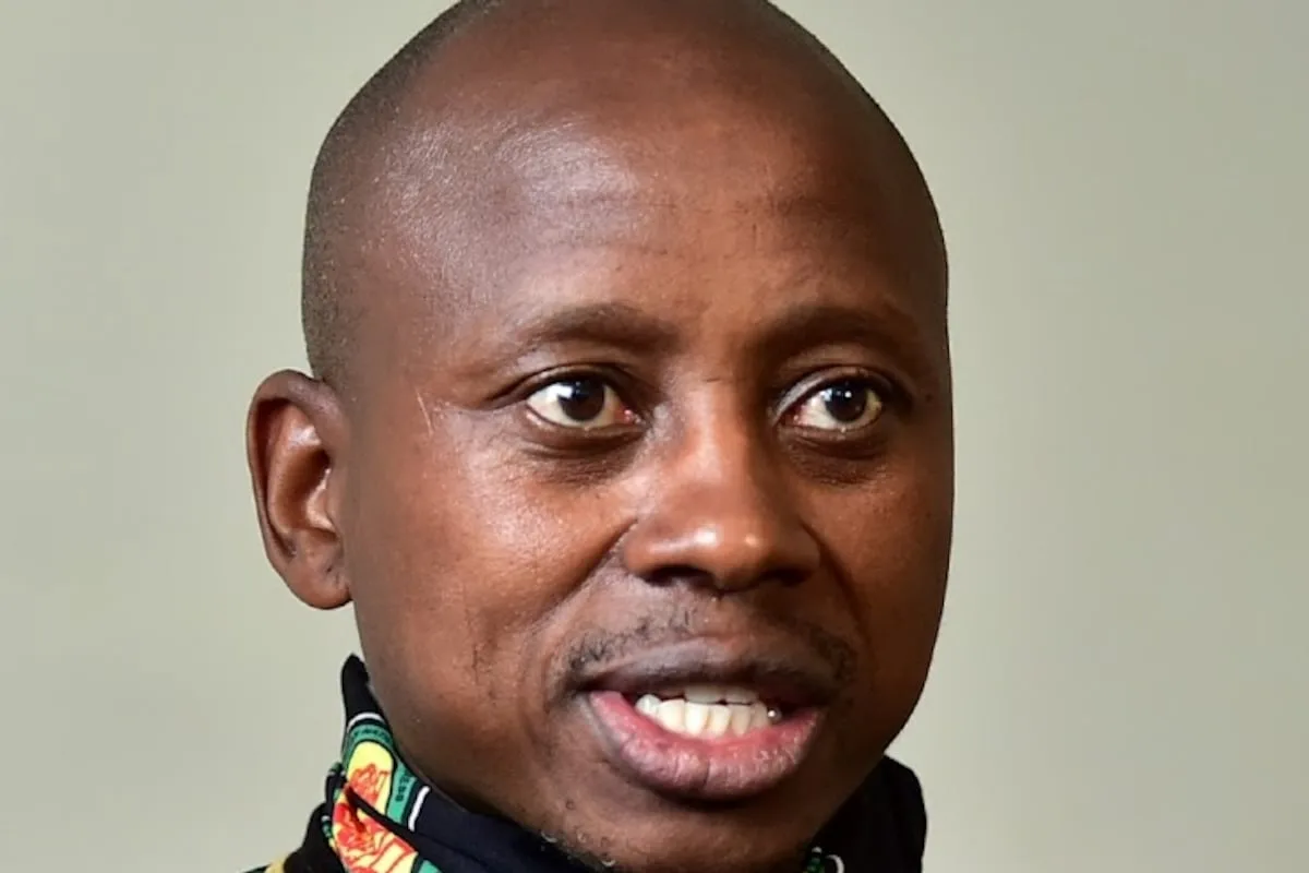 Court orders ANC to restore Andile Lungisa to the candidate list