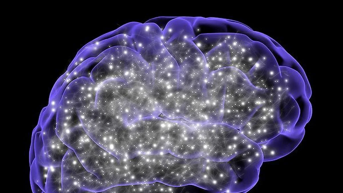Environmental lead exposure linked to greater neuronal damage: ICMR-NIN