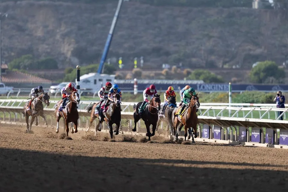 Jockey Club Gold Cup: Forever Young’s Race To Lose, And Here’s How