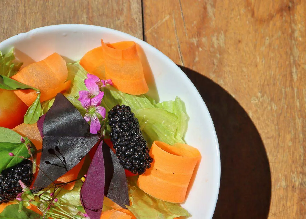 Chega de salada sem graça, tem mato no quintal que salva o prato