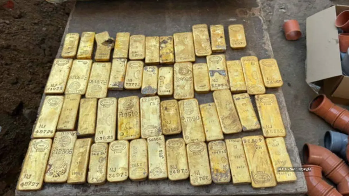 Belgian student finds €9 million gold stash while digging a sewer