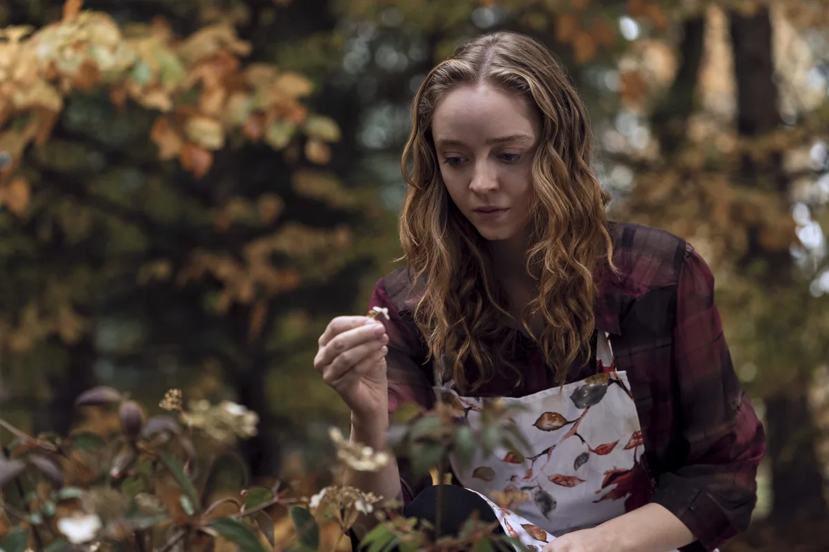 Série esquecida da Netflix com 8 episódios para esta segunda (07/09)